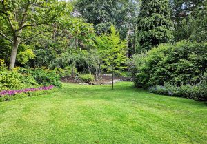 Optimiser l'expérience du jardin à Gemmelaincourt